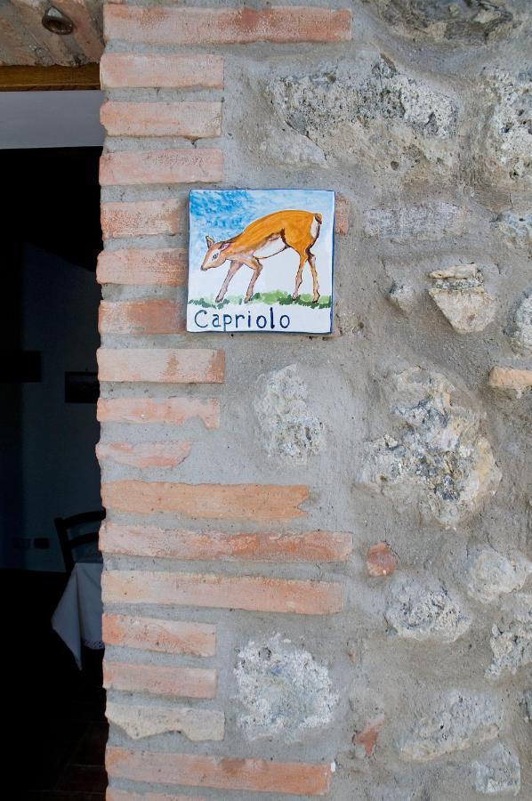 Agriturismo Fontesettimena Appartamento Rondine- Appartamento Capriolo فولتيرا المظهر الخارجي الصورة